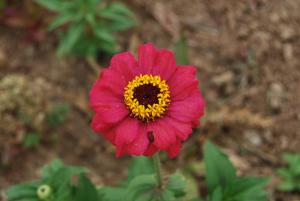 新鄉(xiāng)市濾清器有限公司憑先進技術(shù)軍工品質(zhì)助力祖國航天事業(yè)發(fā)展